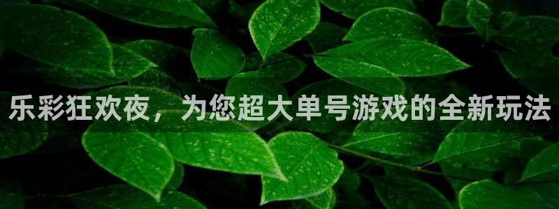 赢乐彩票体育f开户