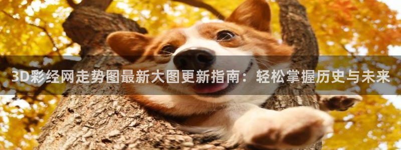 赢乐彩票官网