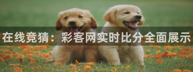 赢乐彩票平台在线注册：在线竞猜：彩客网实时比分全面展示