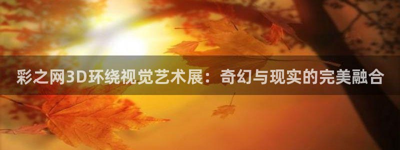 上海赢乐彩票汽车电子有限公司：彩之网3D环绕视觉艺术展：奇幻与现实的完美融合